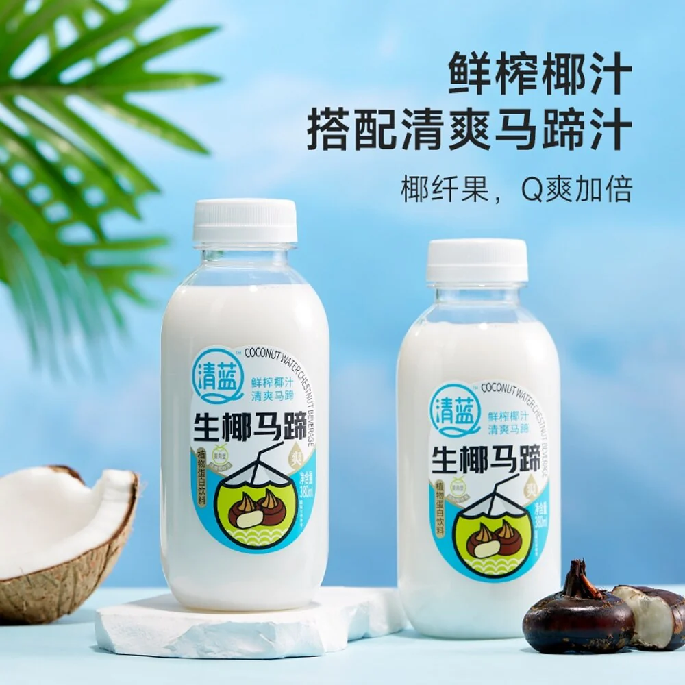 Qinglan Coconut & Water Chestnut Plant-Based Drink – 380ml × 15 Bottles (Carton) - Image 3