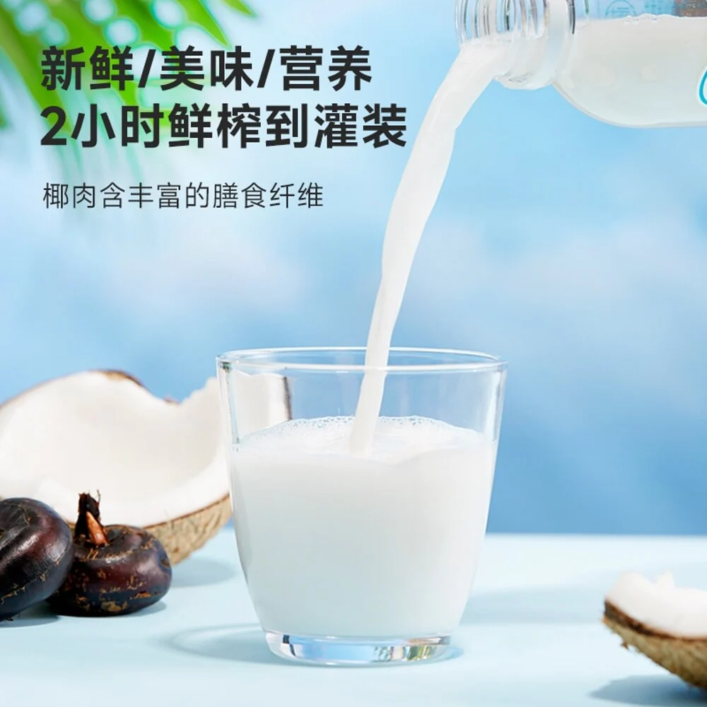 Qinglan Coconut & Water Chestnut Plant-Based Drink – 380ml × 15 Bottles (Carton) - Image 4