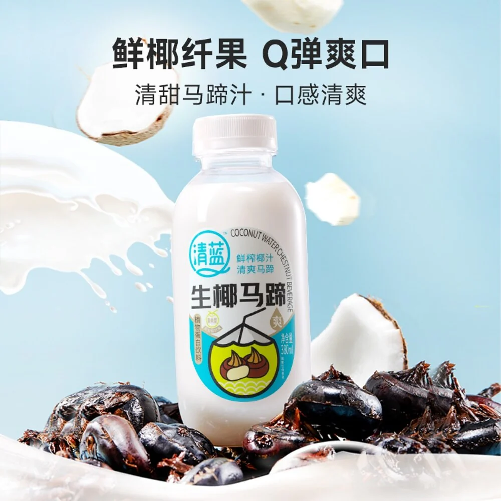 Qinglan Coconut & Water Chestnut Plant-Based Drink – 380ml × 15 Bottles (Carton) - Image 5