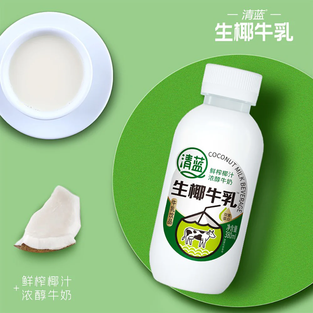 Qinglan Fresh Coconut Milk Beverage 380ml × 15 Bottles – Rich & Creamy Double-Protein Drink - Image 2