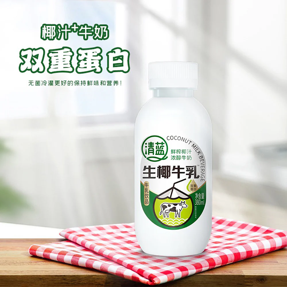 Qinglan Fresh Coconut Milk Beverage 380ml × 15 Bottles – Rich & Creamy Double-Protein Drink - Image 3