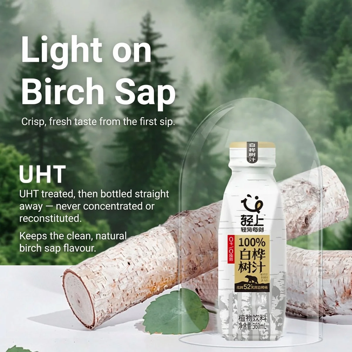 Qingshang 100% White Birch Sap Drink - 360ml - Image 4