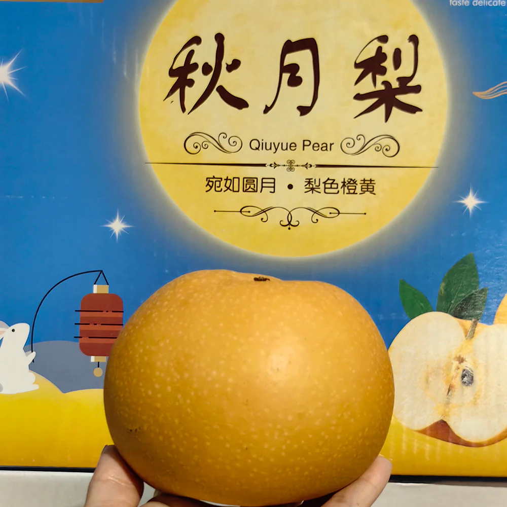 Qiuyue Pear - 1 Piece