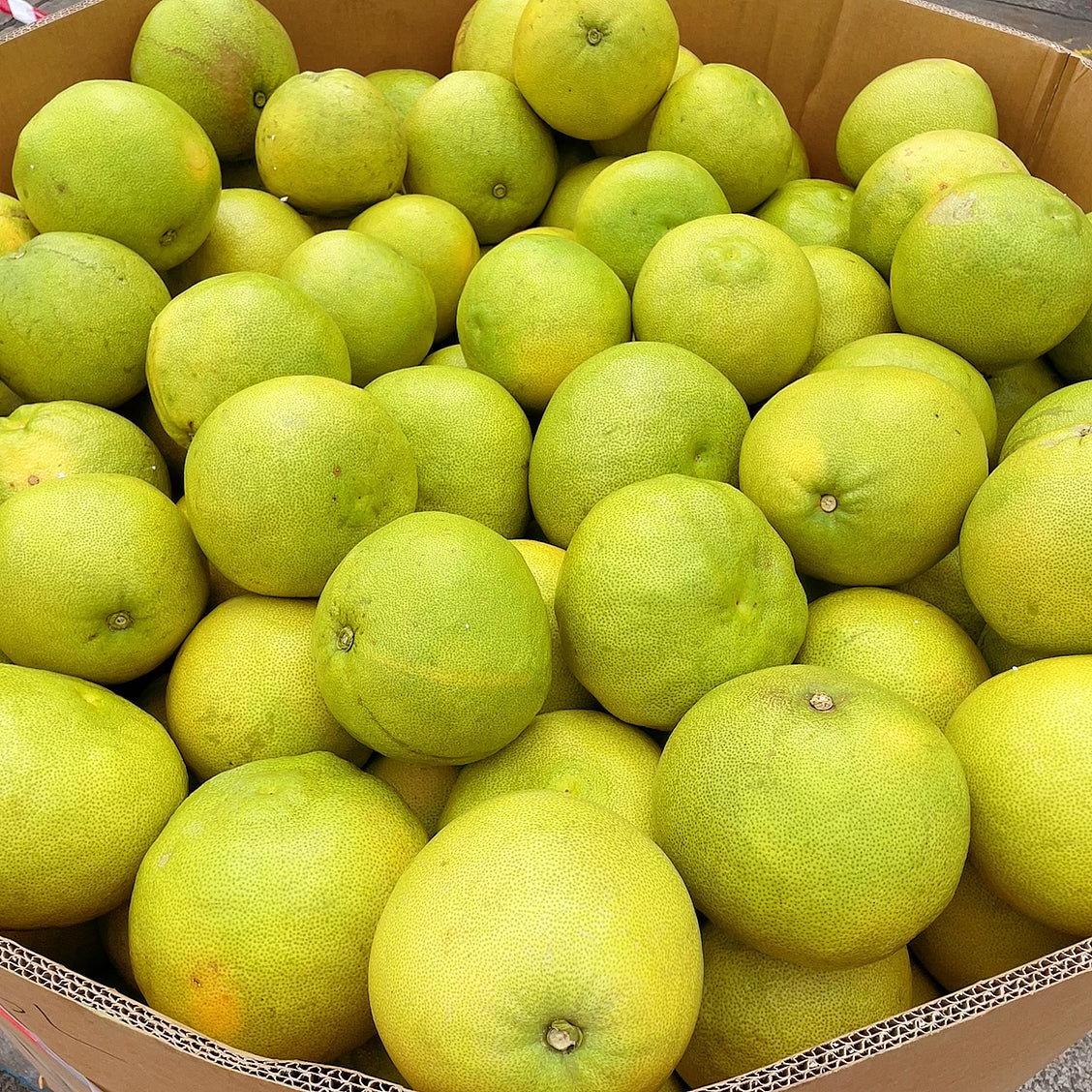 Queensland Premium Large Shatian Pomelo - 1 Piece, 1.3kg