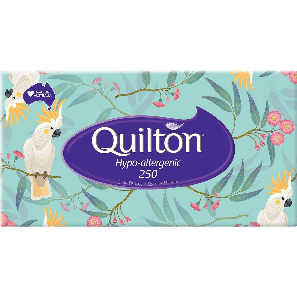 Quilton Hypoallergenic 2-Ply Facial Tissues 250 Sheets x 12 Boxes - Image 2