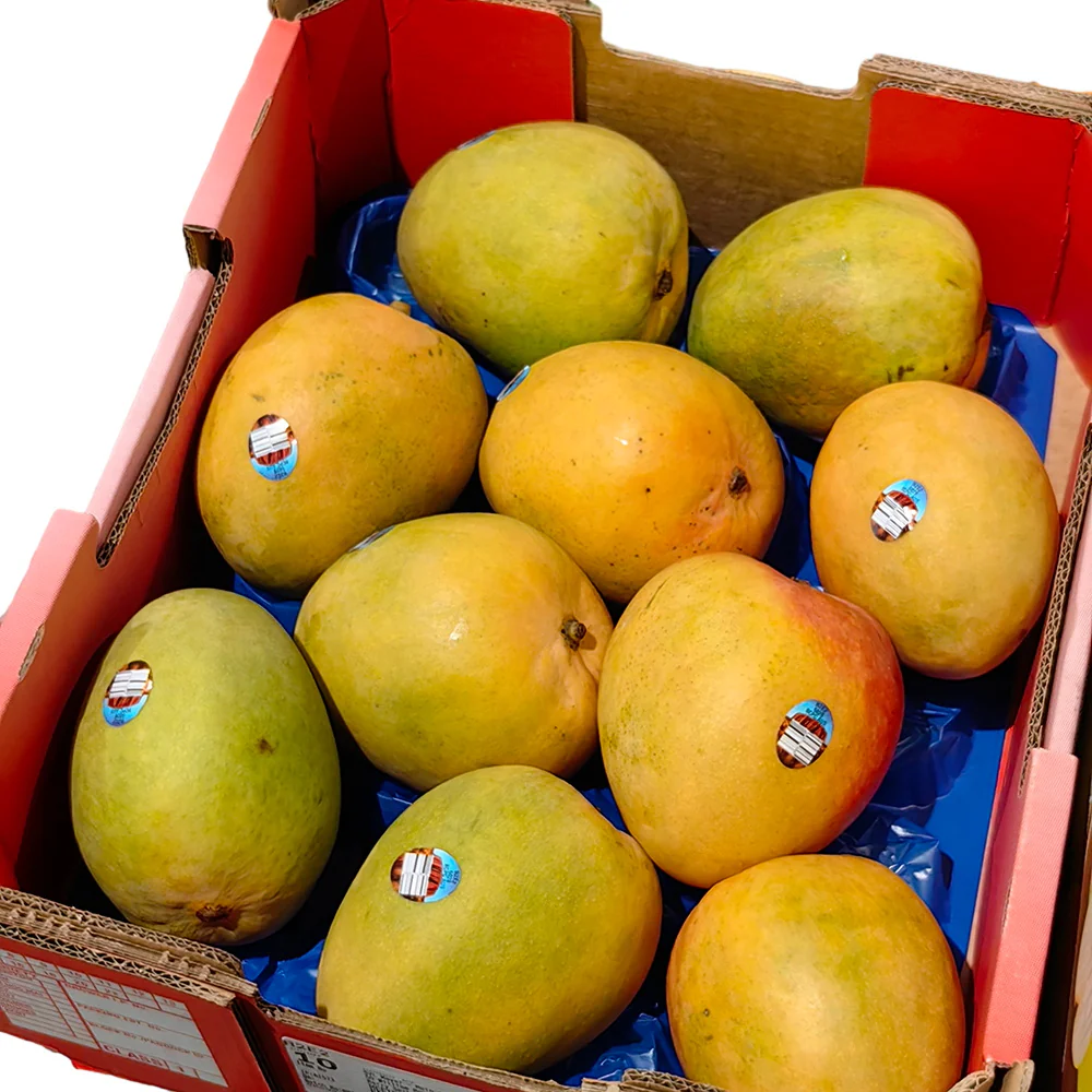 R2E2 Mango - Large, 1 Piece - Image 2