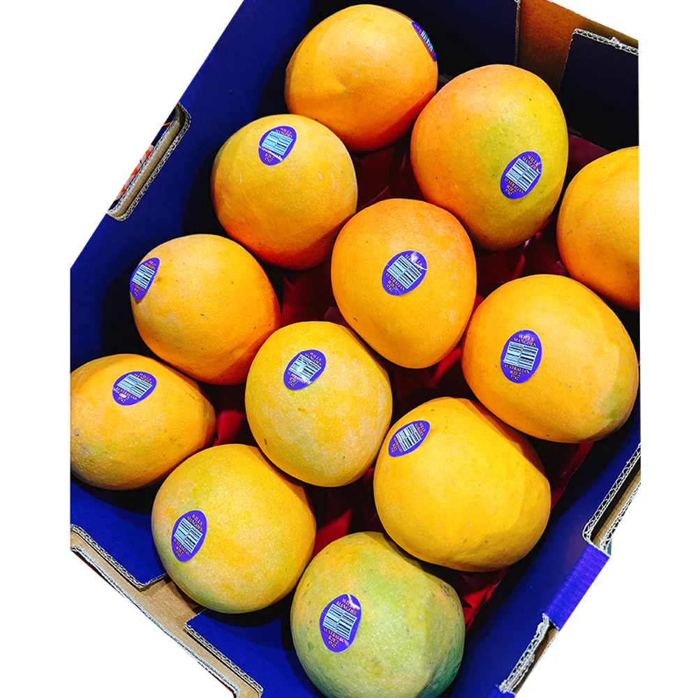 R2E2 Mangoes - Large Size 12, Box - Image 2