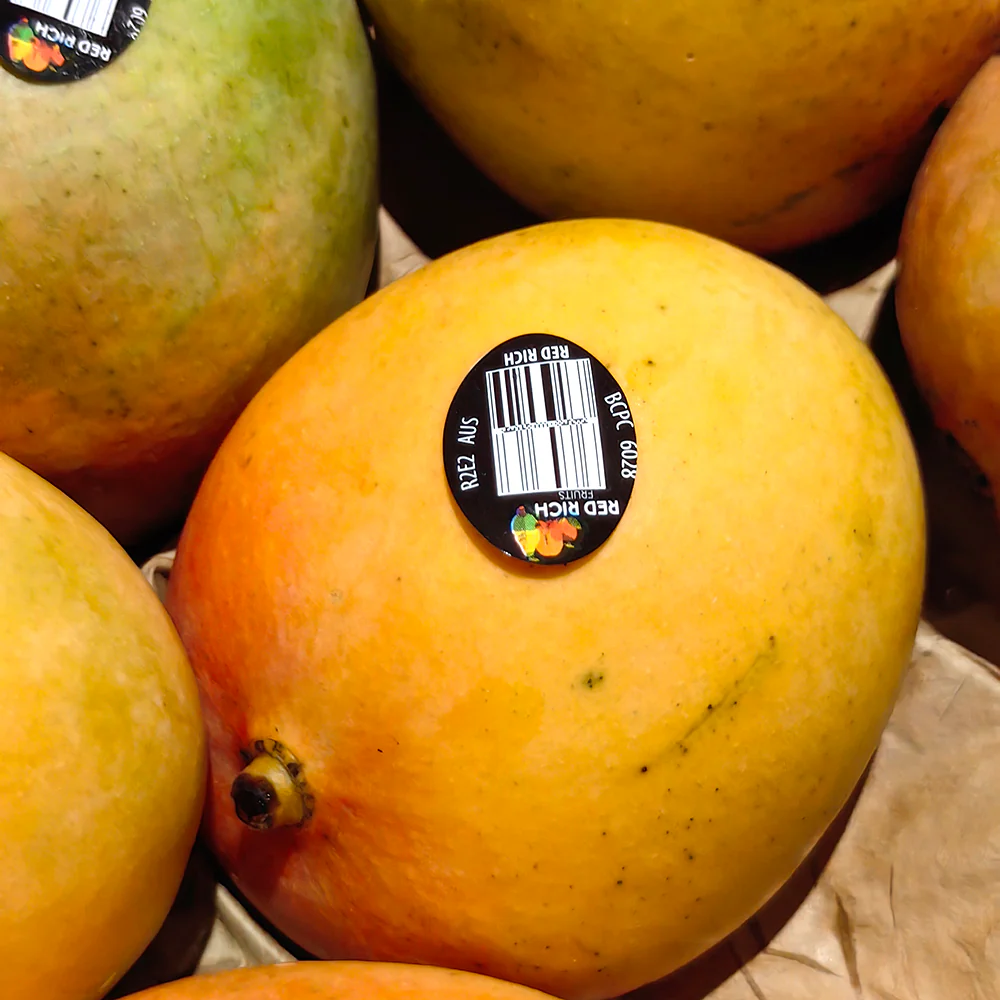 R2E2 Mangoes - Medium, 2 Pieces - Image 2