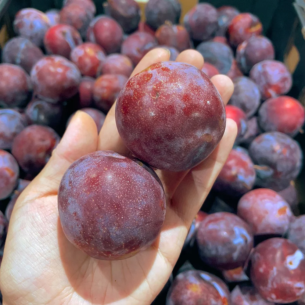 Red Flesh Plums - 1kg