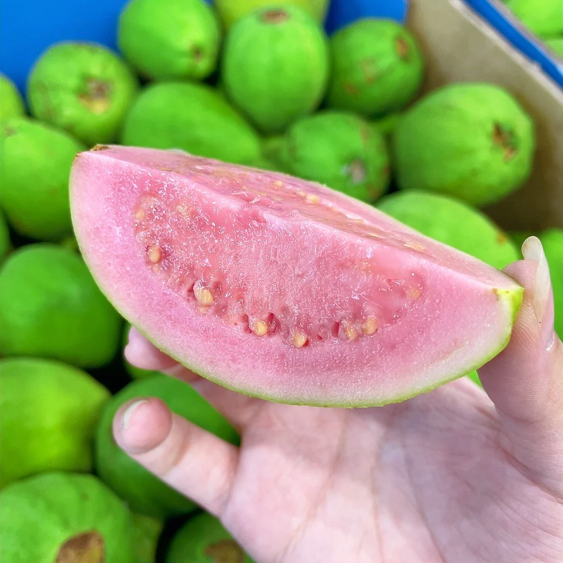 Red Guava - 1kg - Image 2