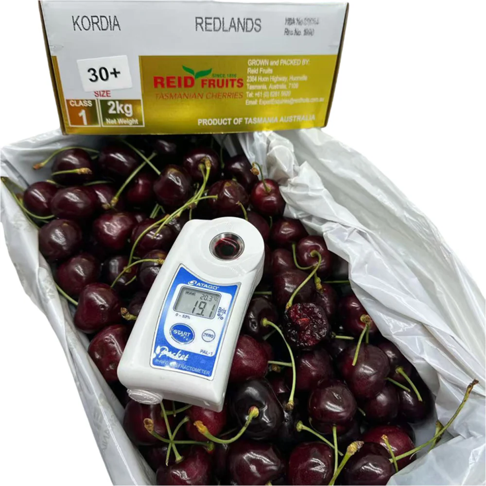 Reid Fruits Kordia Tasmanian Cherries Gift Box 30mm+ - 2kg - Image 2