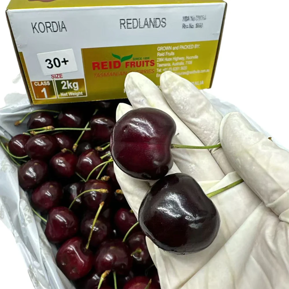 Reid Fruits Kordia Tasmanian Cherries Gift Box 30mm+ - 2kg - Image 3