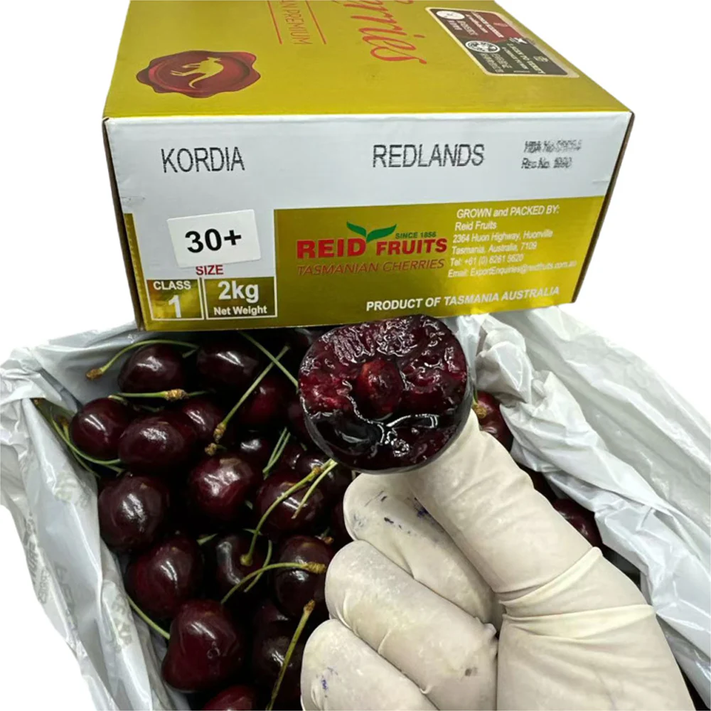 Reid Fruits Kordia Tasmanian Cherries Gift Box 30mm+ - 2kg - Image 4