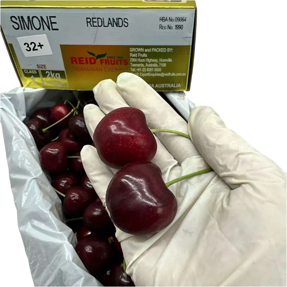 Reid Fruits Simone Tasmanian Cherries 32mm+ Gift Box – 2kg - Image 3