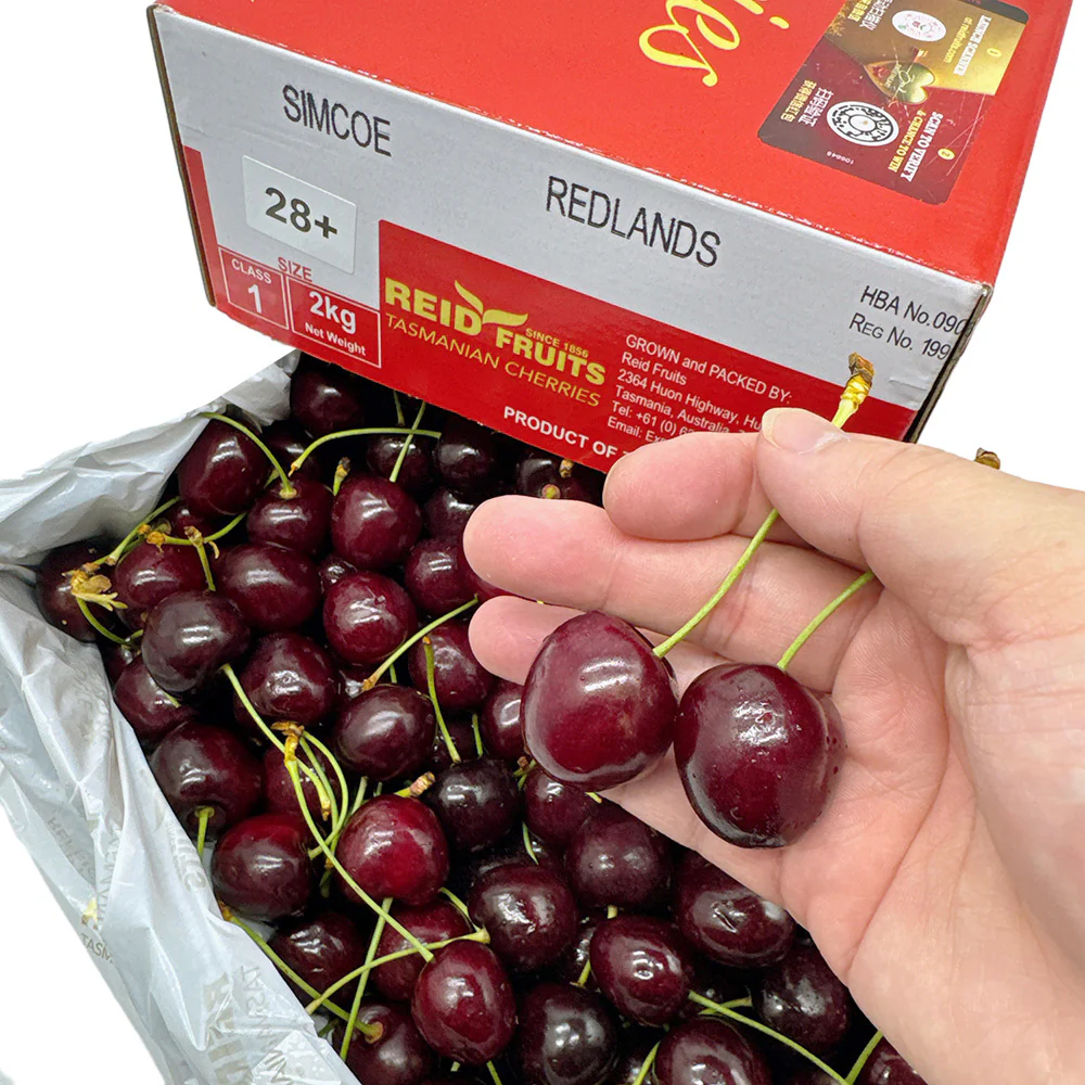 Reid Fruits Tasmanian Cherries Gift Box 28mm+ - 2kg - Image 2