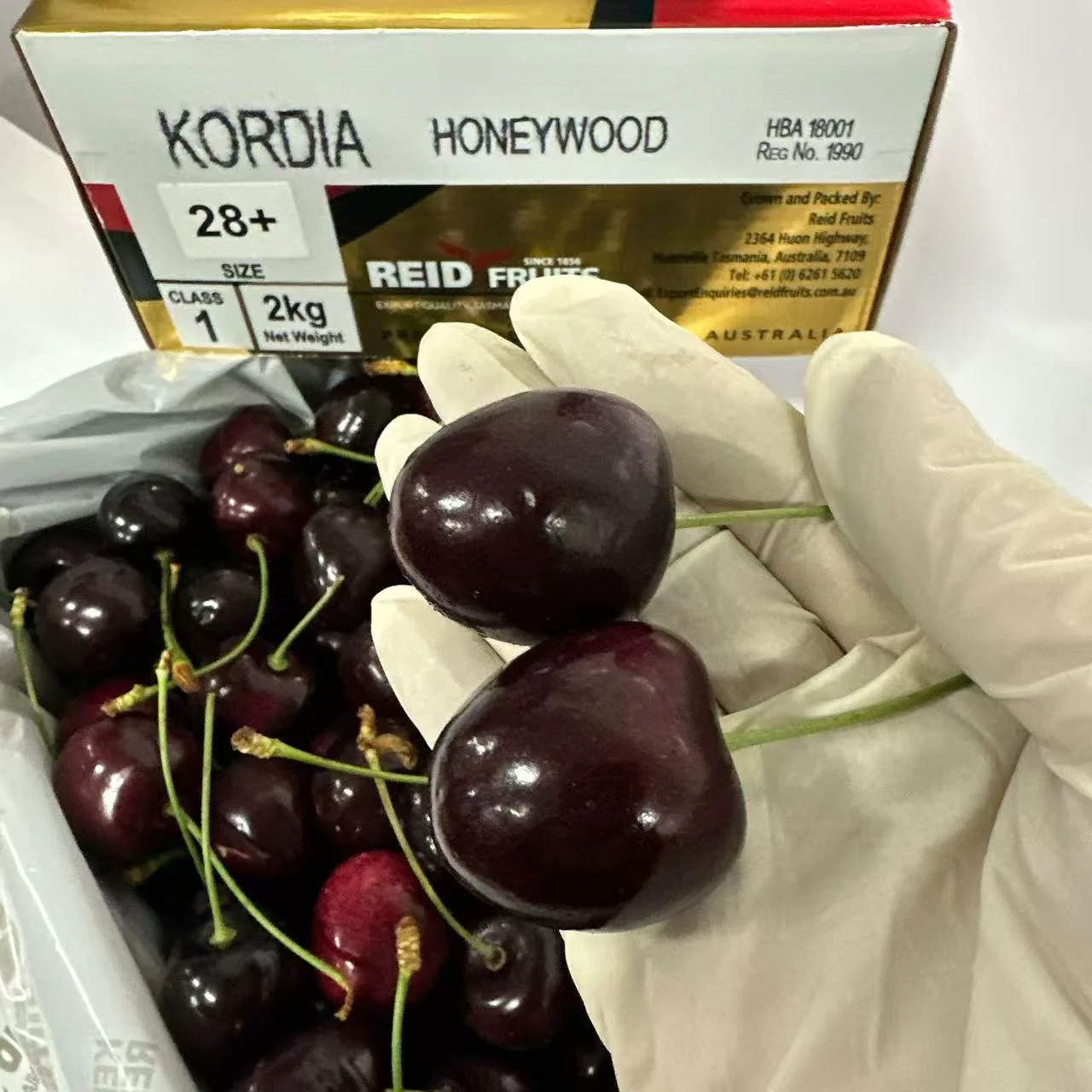 Reid Fruits Tasmanian Kordia Cherries 28mm+ Gift Box 2kg