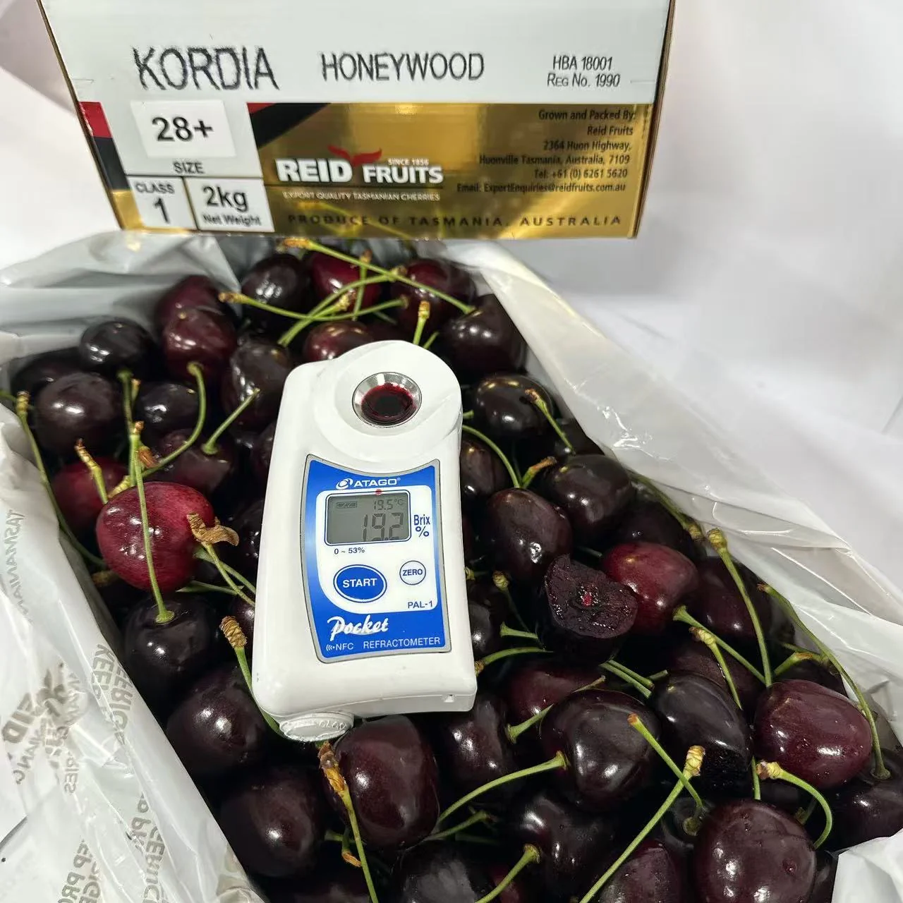 Reid Fruits Tasmanian Kordia Cherries 28mm+ Gift Box 2kg - Image 2