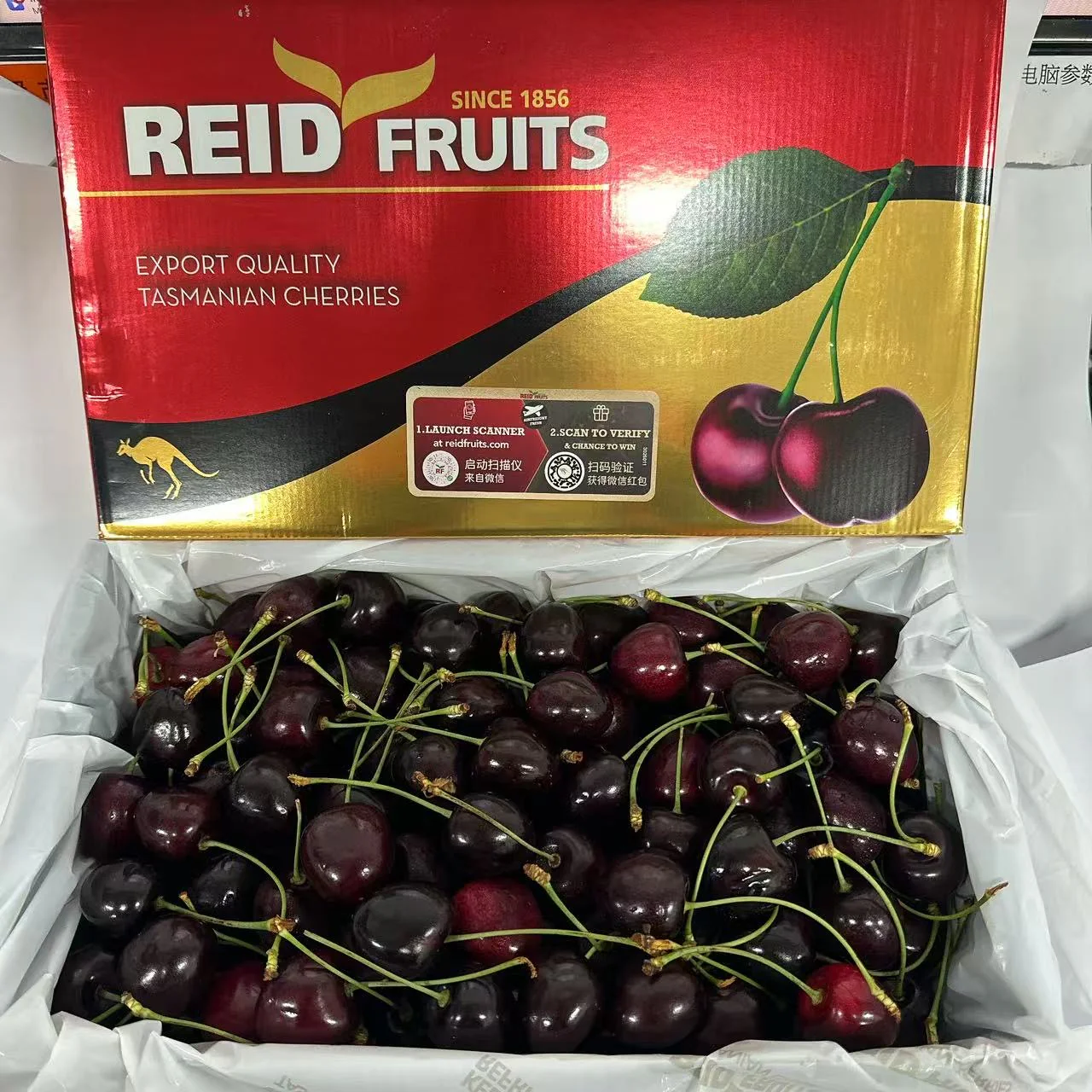 Reid Fruits Tasmanian Kordia Cherries 28mm+ Gift Box 2kg - Image 4