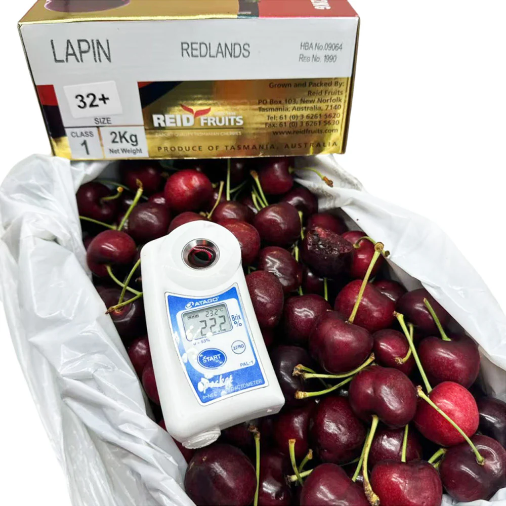 Reid Fruits Tasmanian Lapin Cherries Gift Box 32mm+ 2kg - Image 2