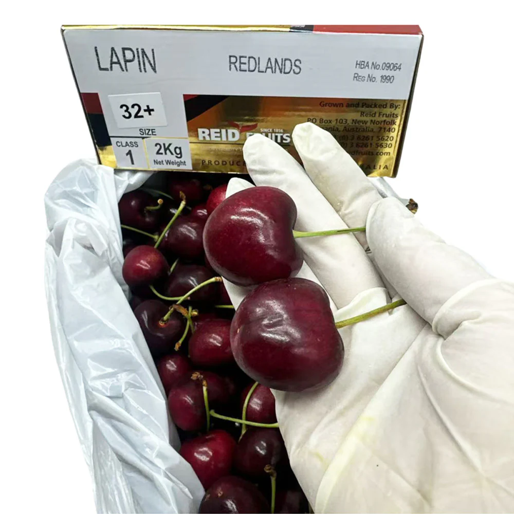 Reid Fruits Tasmanian Lapin Cherries Gift Box 32mm+ 2kg - Image 3