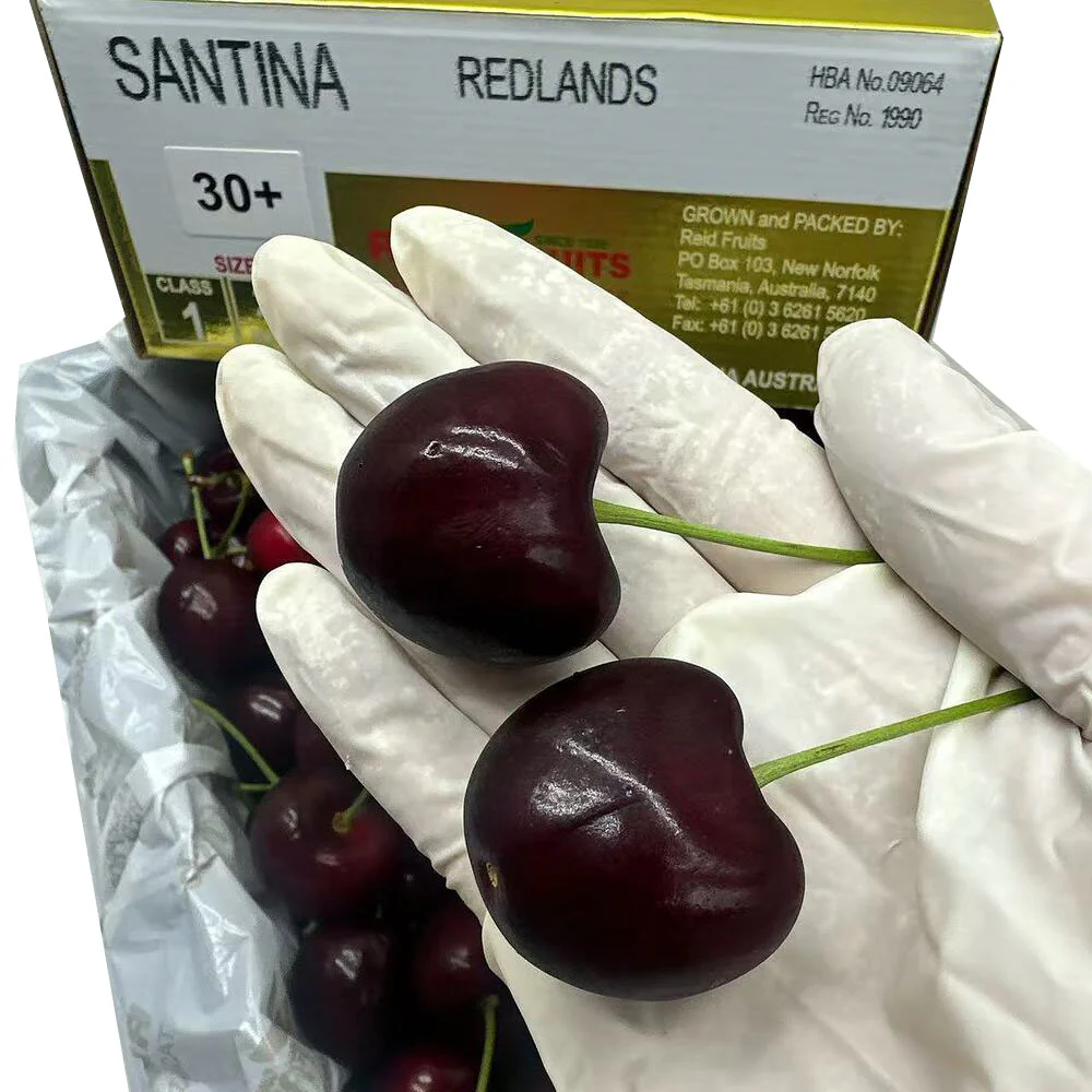 Reid Fruits Tasmanian Santina Cherries 30mm+ Gold Gift Box 2kg - Image 3