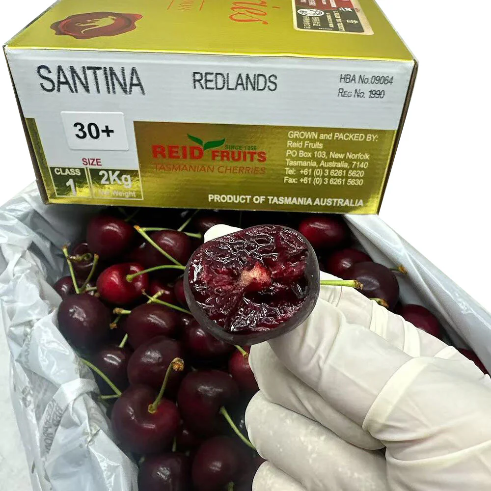 Reid Fruits Tasmanian Santina Cherries 30mm+ Gold Gift Box 2kg - Image 4