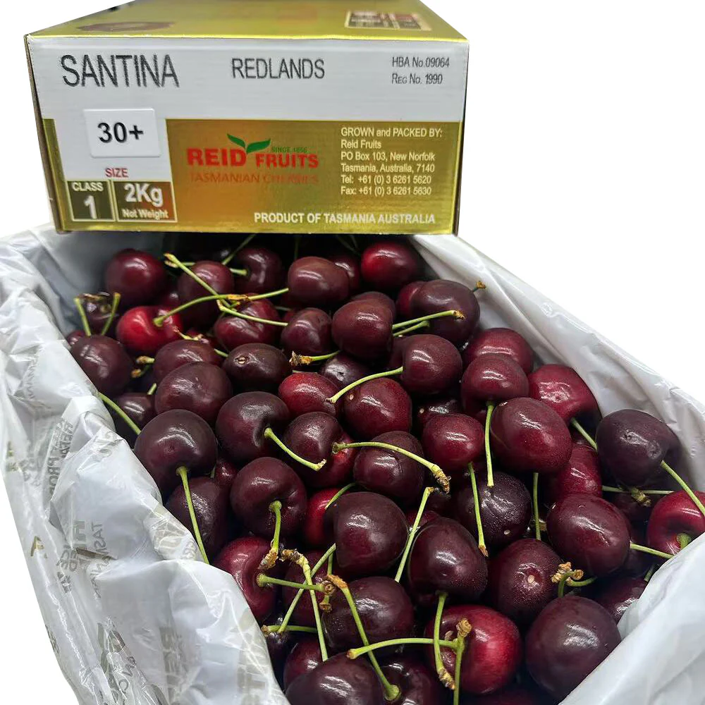 Reid Fruits Tasmanian Santina Cherries 30mm+ Gold Gift Box 2kg - Image 5