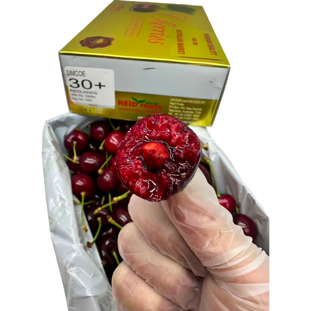 Reid Fruits Tasmanian Simcoe Cherries Gift Box 30mm+ – 1kg - Image 4