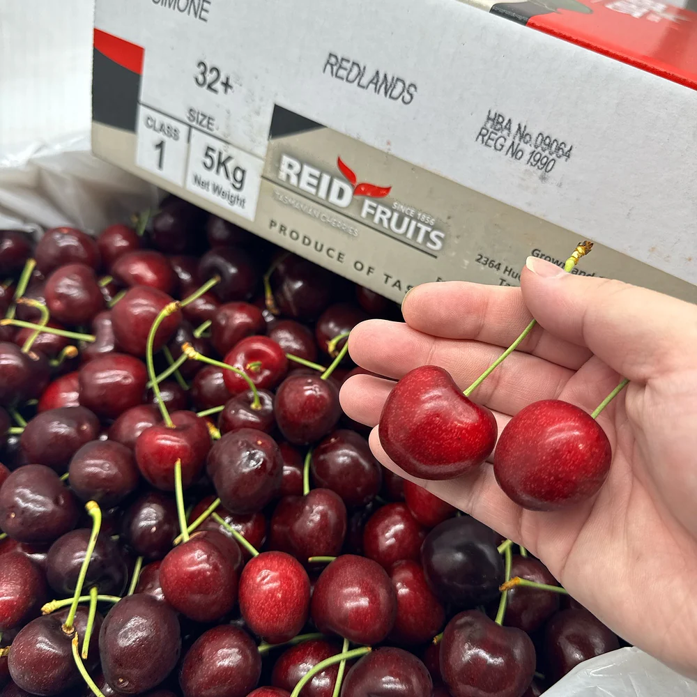 Reid Fruits Tasmanian Simone Cherries Gift Box - 5kg - Image 3