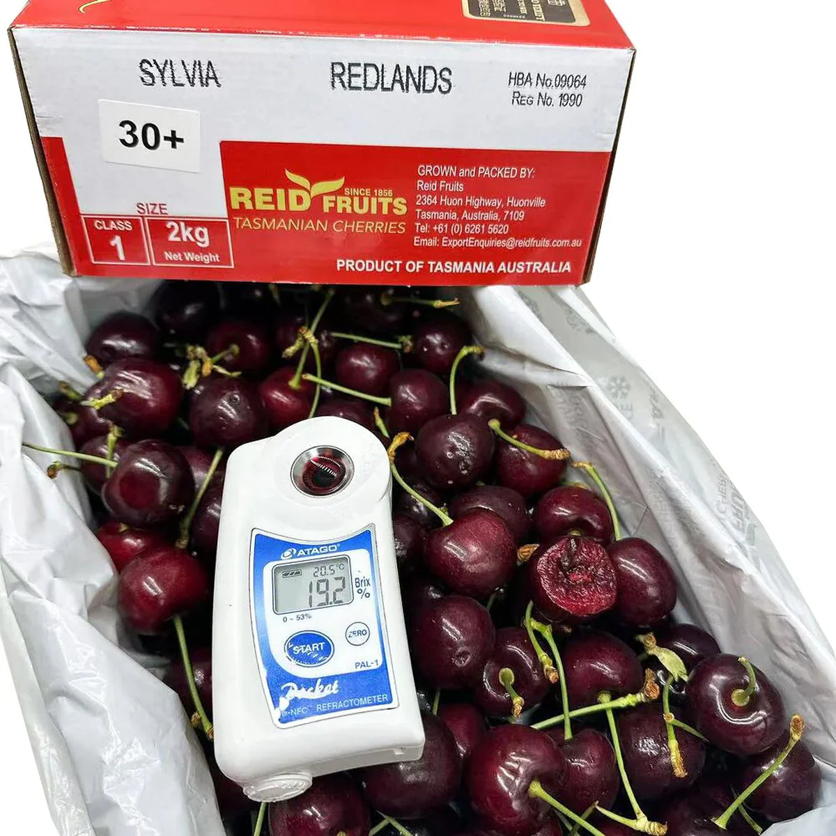 Reid Fruits Tasmanian Sylvia Cherries 30mm+ Gift Box 2kg - Image 2