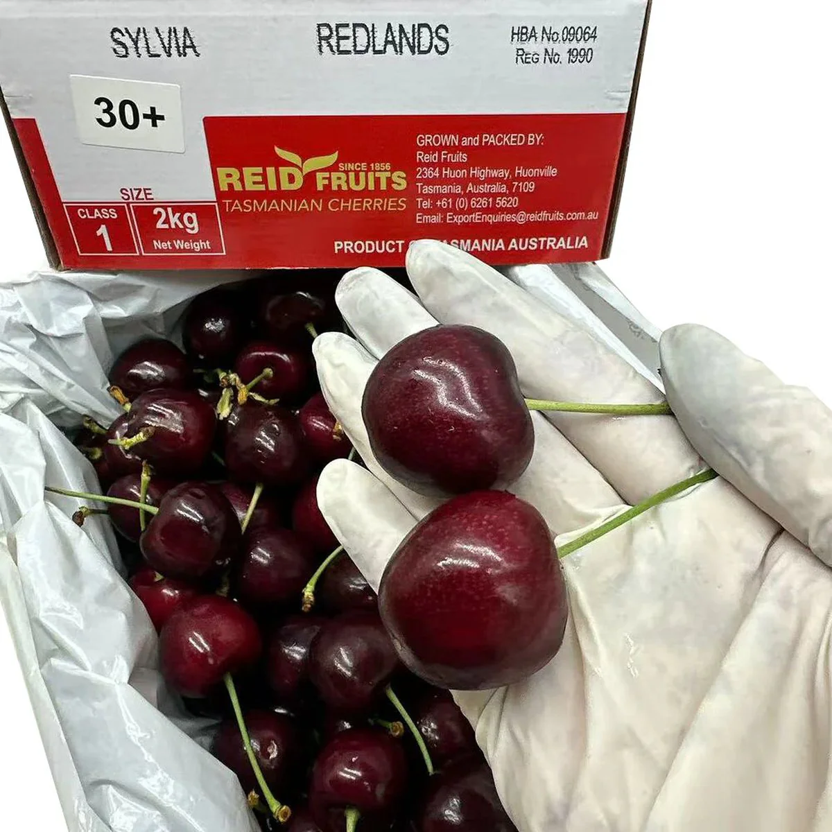 Reid Fruits Tasmanian Sylvia Cherries 30mm+ Gift Box 2kg - Image 3