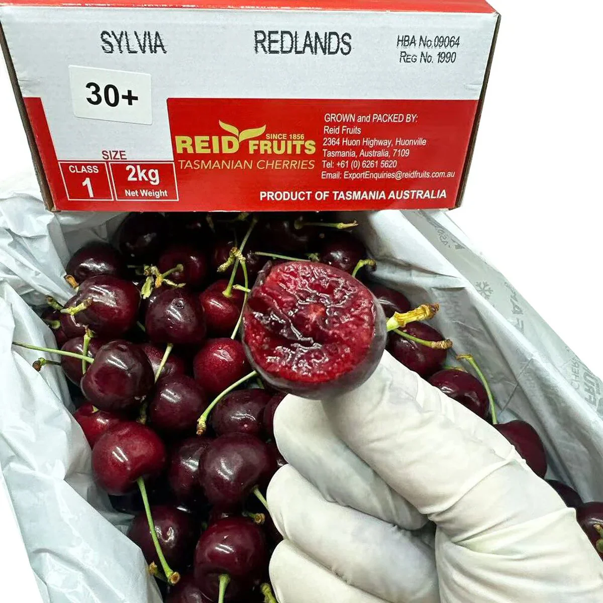 Reid Fruits Tasmanian Sylvia Cherries 30mm+ Gift Box 2kg - Image 4
