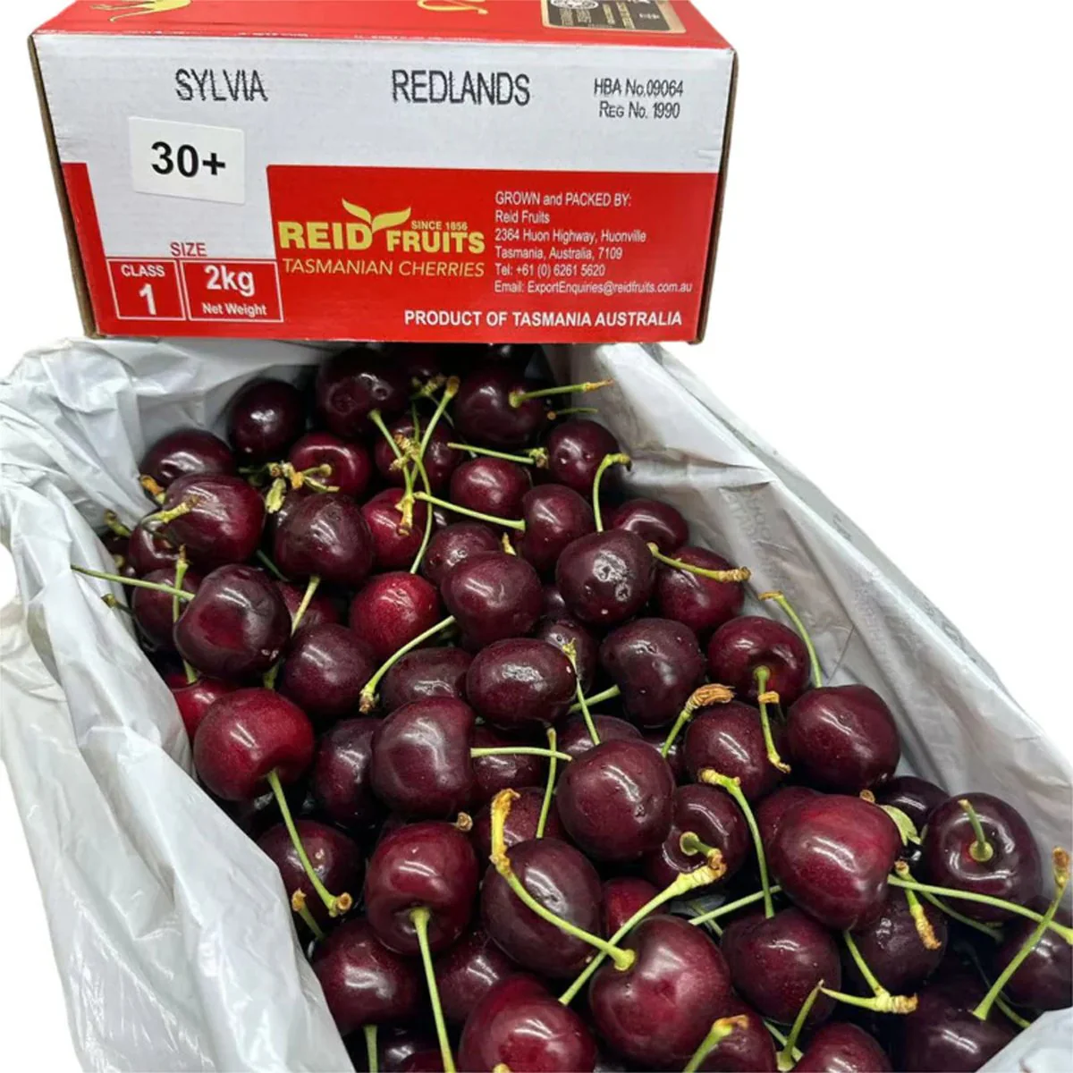 Reid Fruits Tasmanian Sylvia Cherries 30mm+ Gift Box 2kg - Image 5