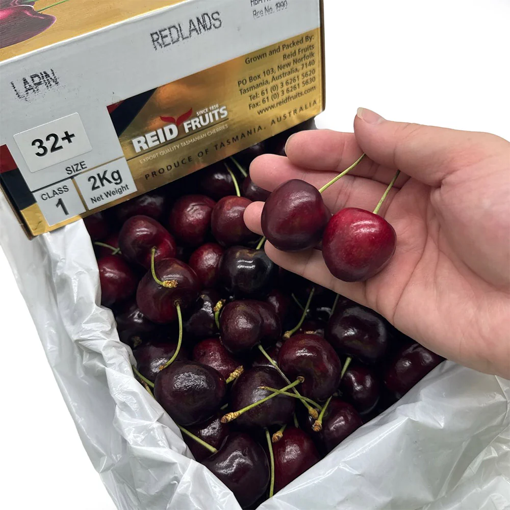 Reid Lapin Cherries Gift Box 32mm+ - 2kg - Image 4