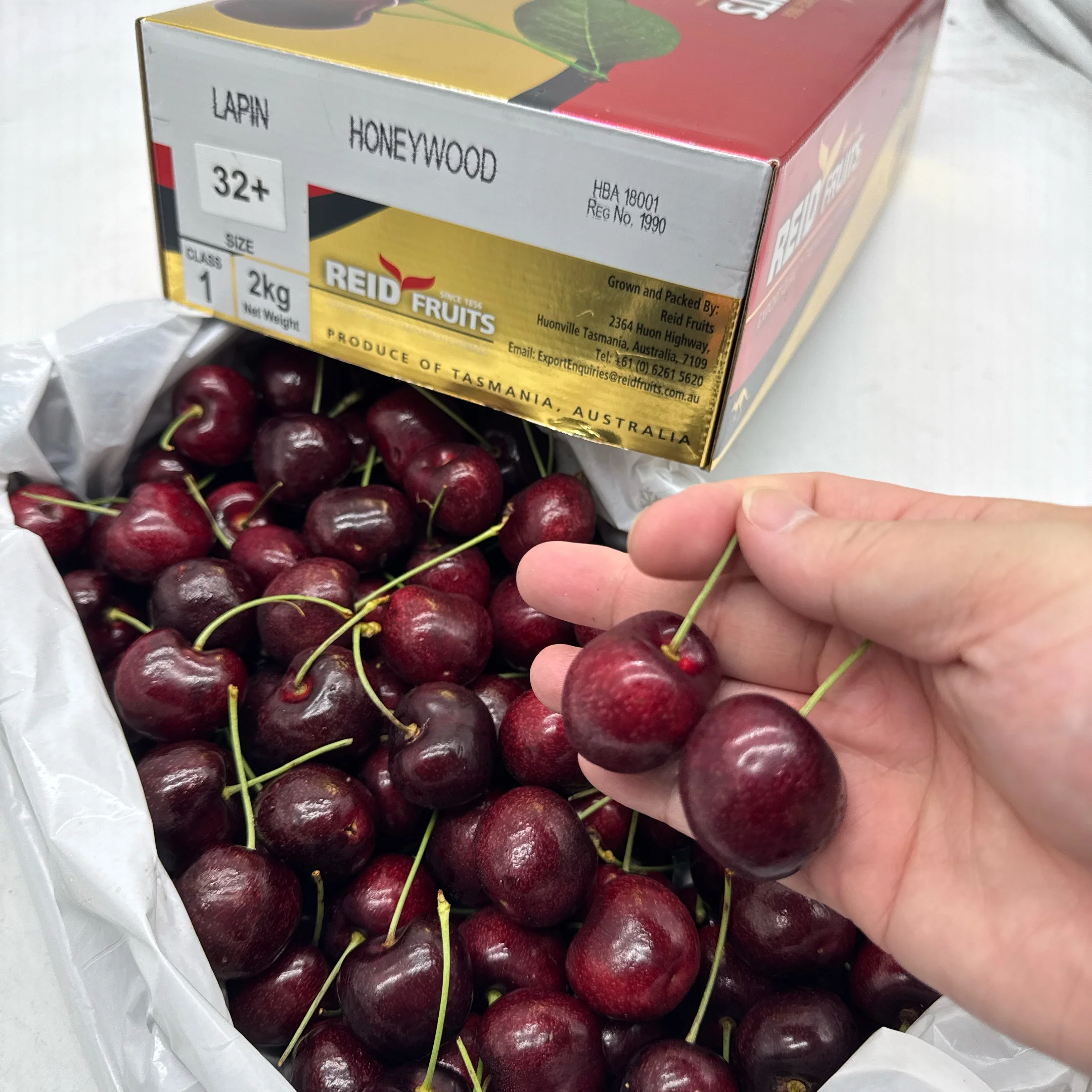Reid Lapin Premium Cherry Gift Box - 32mm+ - 2kg - Image 4