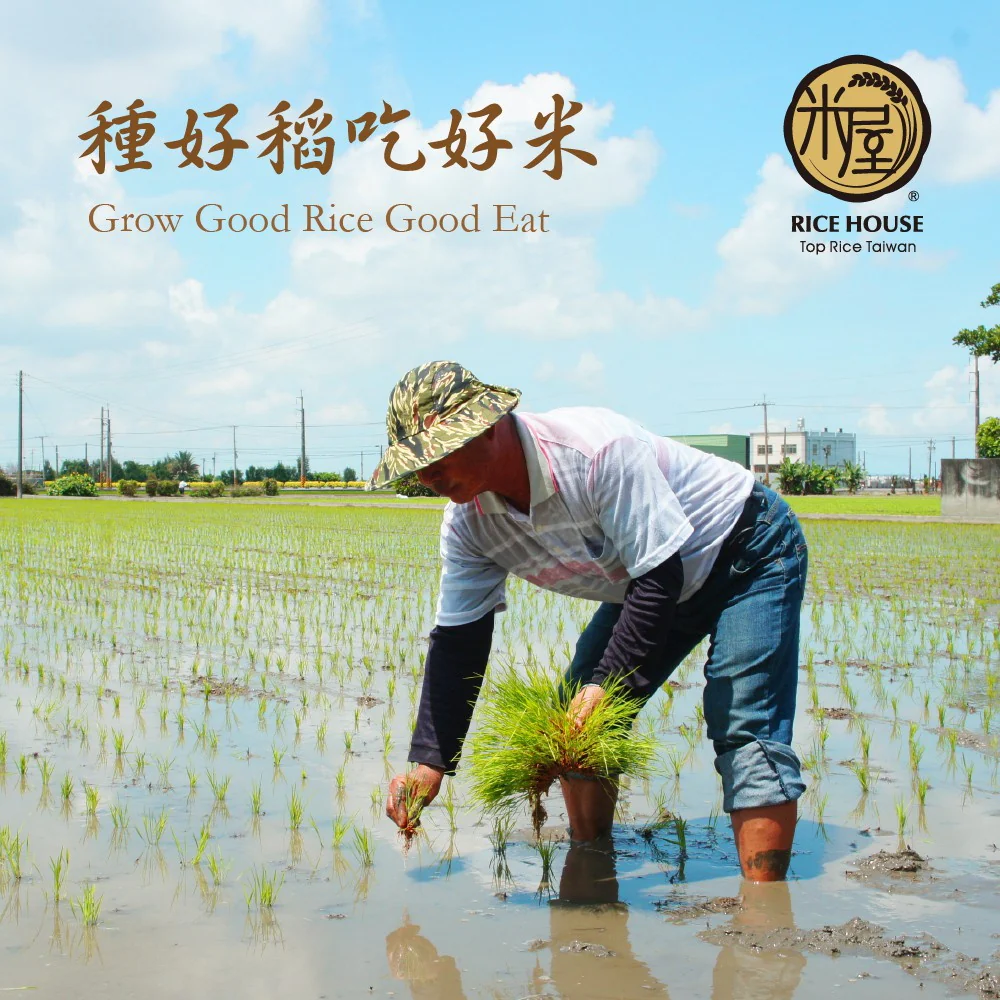 Rice House Taiwan Champion Fu Rice 5kg - Image 3