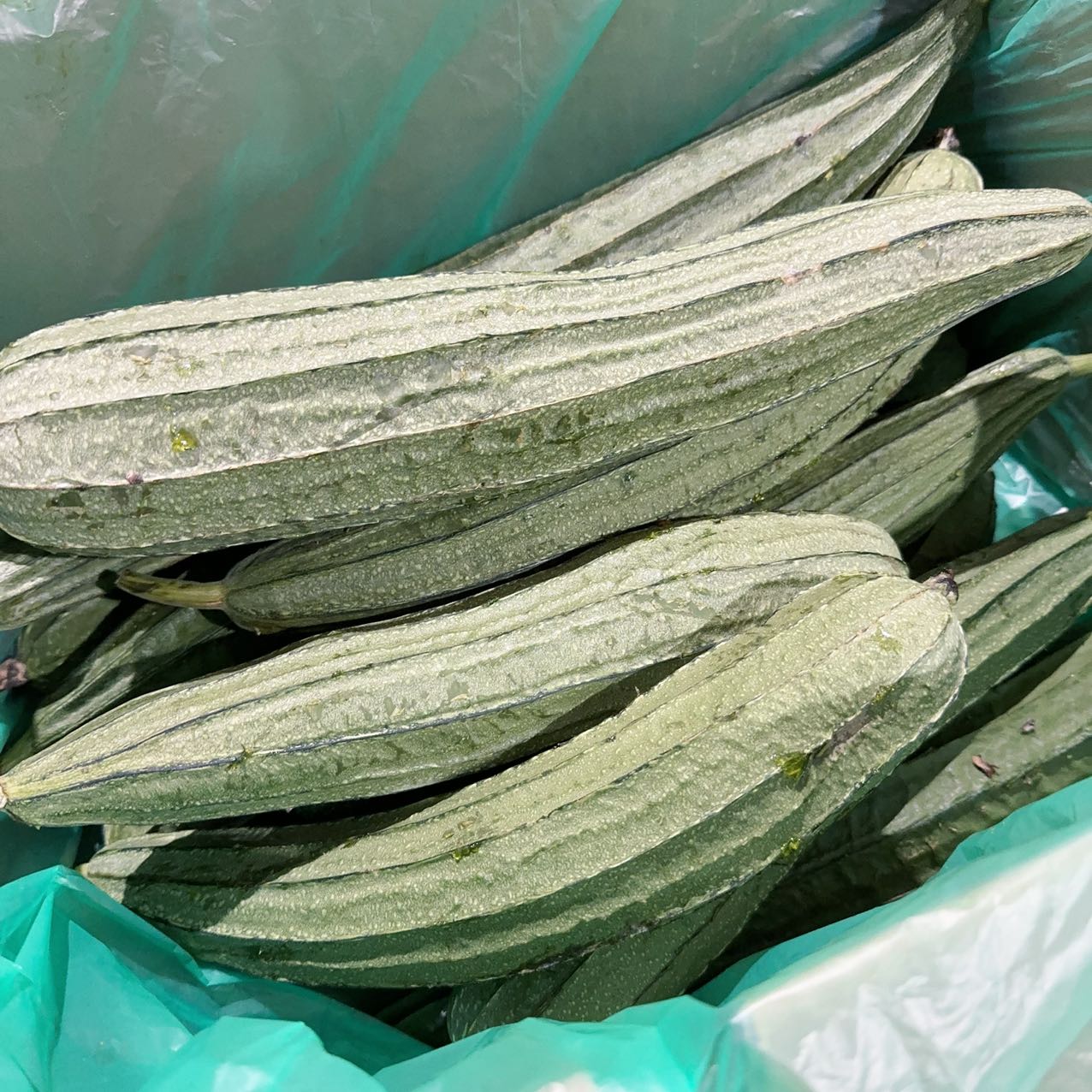 Ridge Gourd - 1 Piece - Image 2