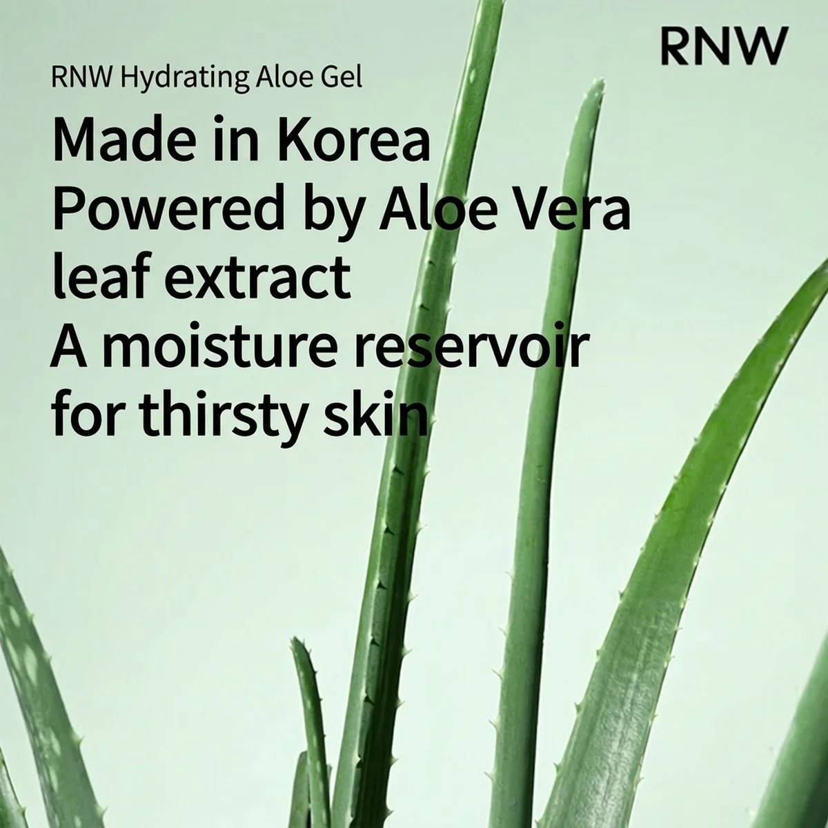 RNW Aloe Hydrating Gel - 250ml - Image 2