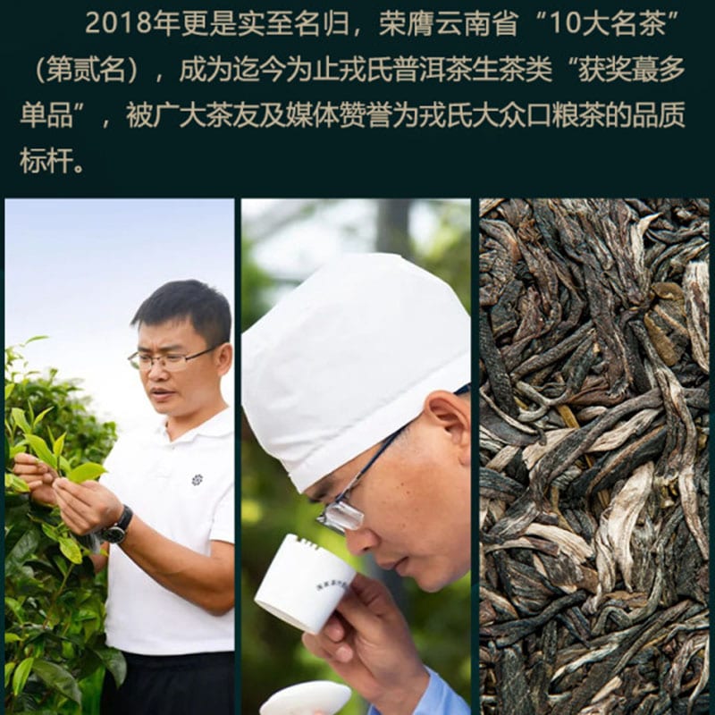 Rongshi Original Raw Pu-erh Tea Compressed Tea Gift Box - 8g*20 Pieces, 160g - Image 2