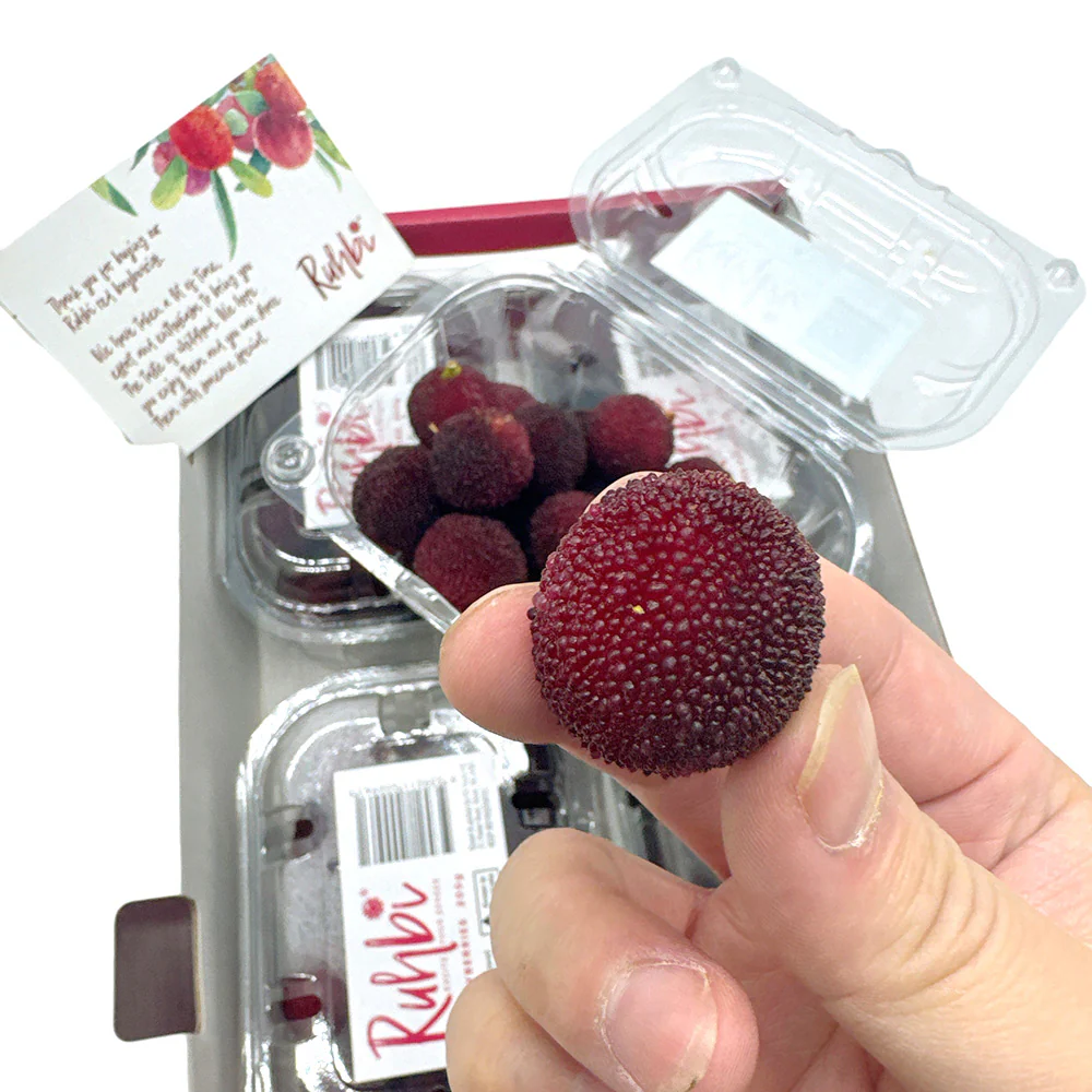Rubbi Fresh Red Bayberries - Box of 4 Packs - Image 2