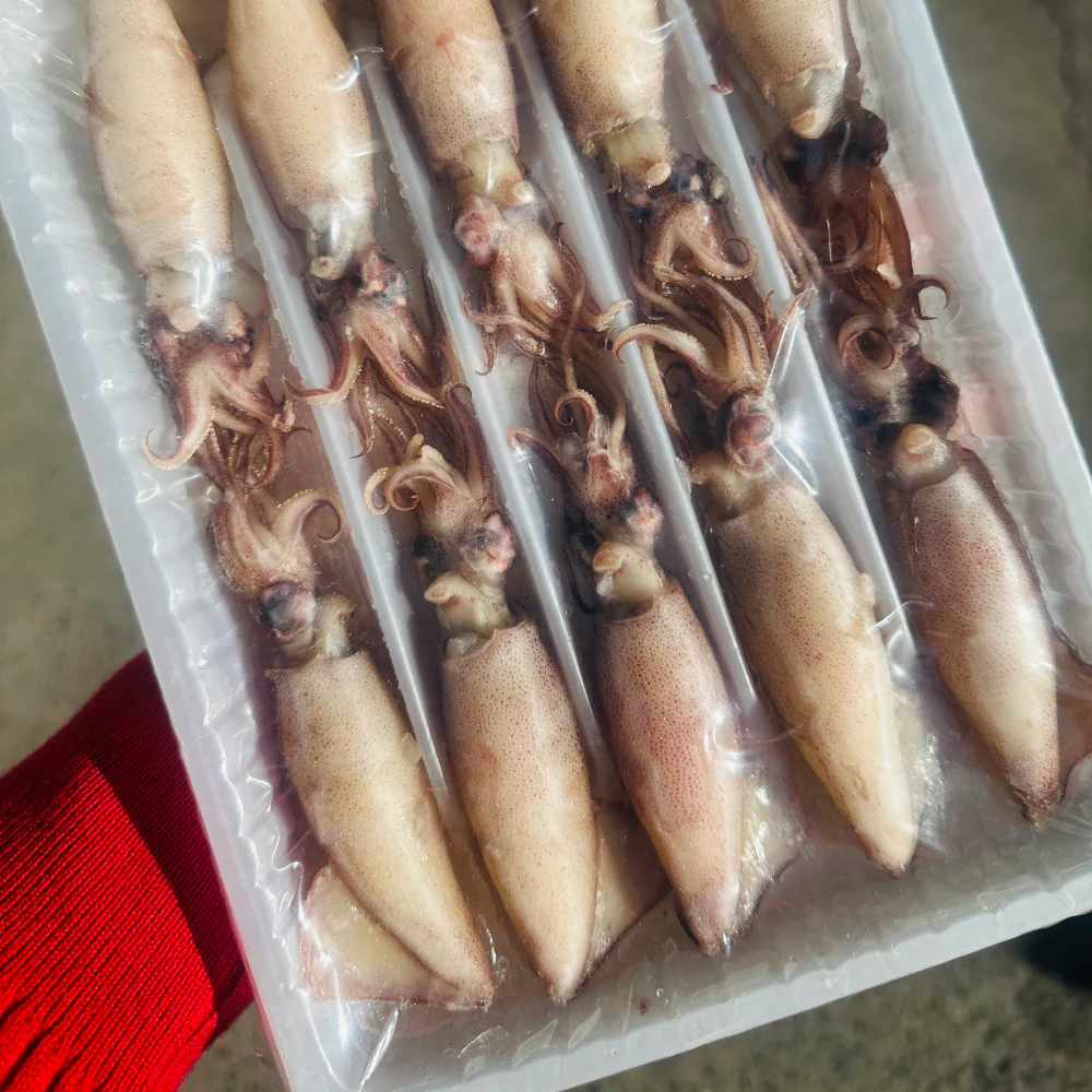 Ruyuxiang Roe-In Baby Squid 240g – Whole Frozen Squid with Eggs - Image 2
