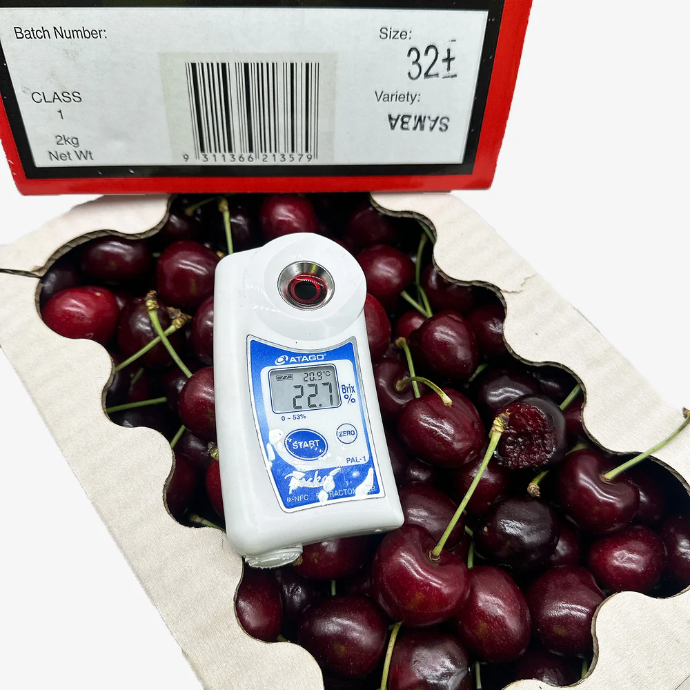 Samba Cherries Christmas Gift Box 32mm+ – 2kg - Image 2