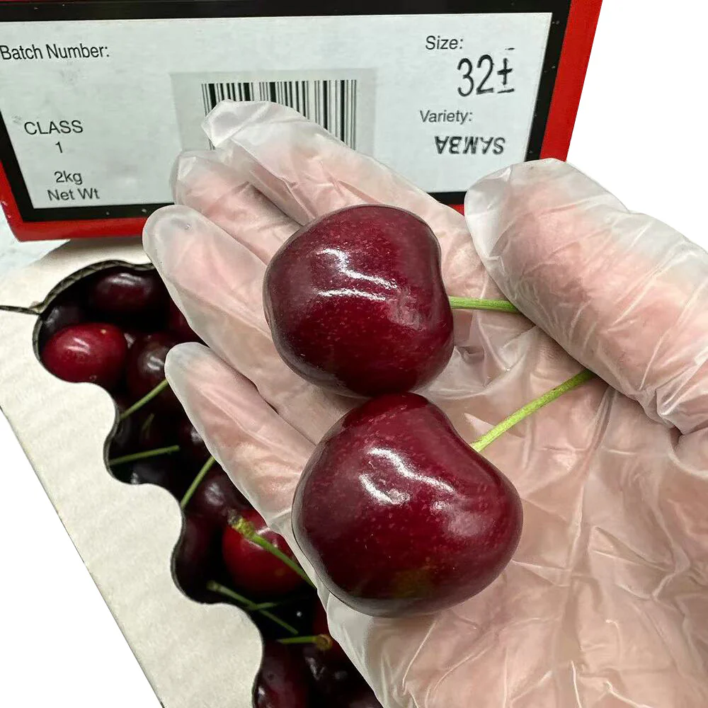 Samba Cherries Christmas Gift Box 32mm+ – 2kg - Image 3