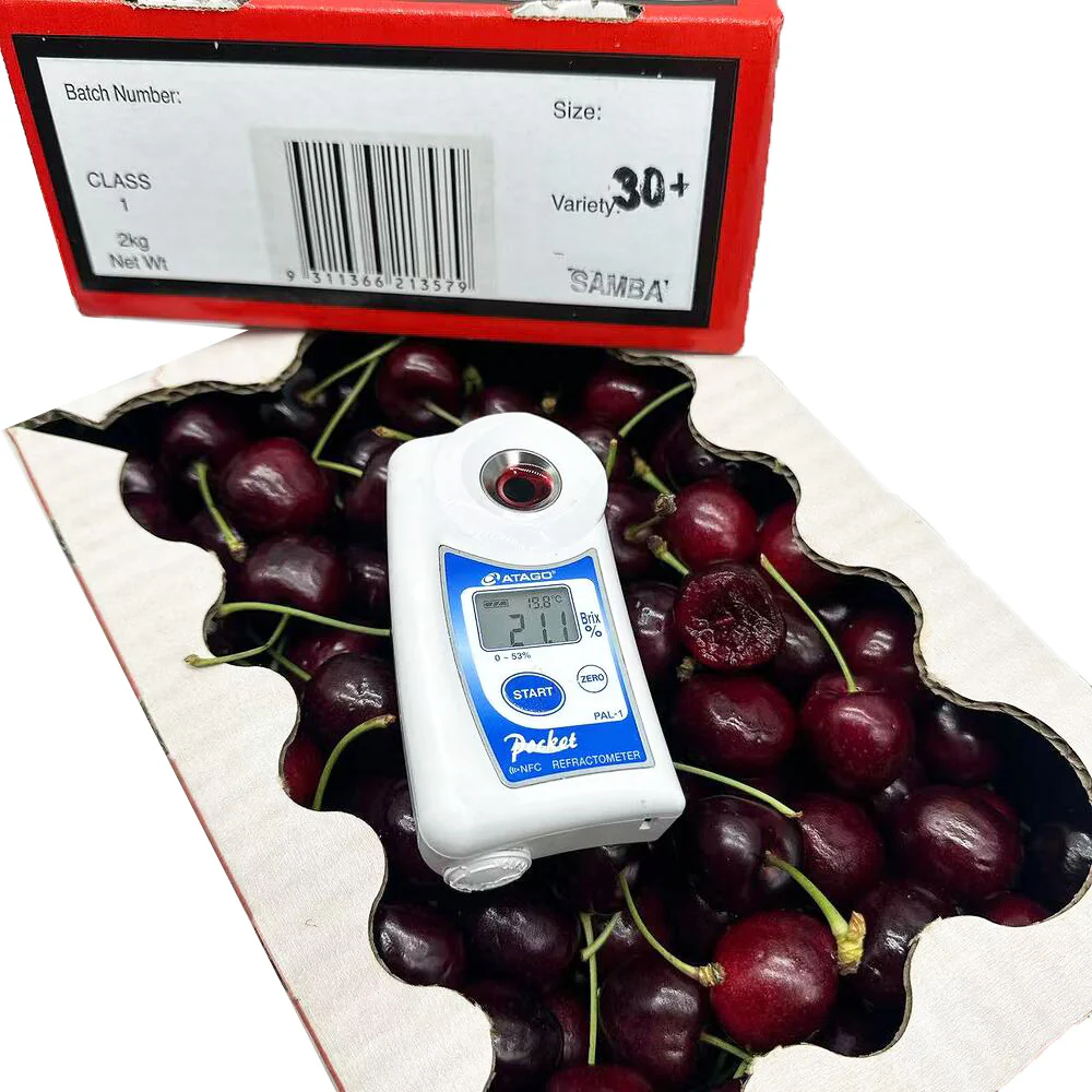 Samba Christmas Cherry Gift Box 30mm+ – 2kg - Image 2