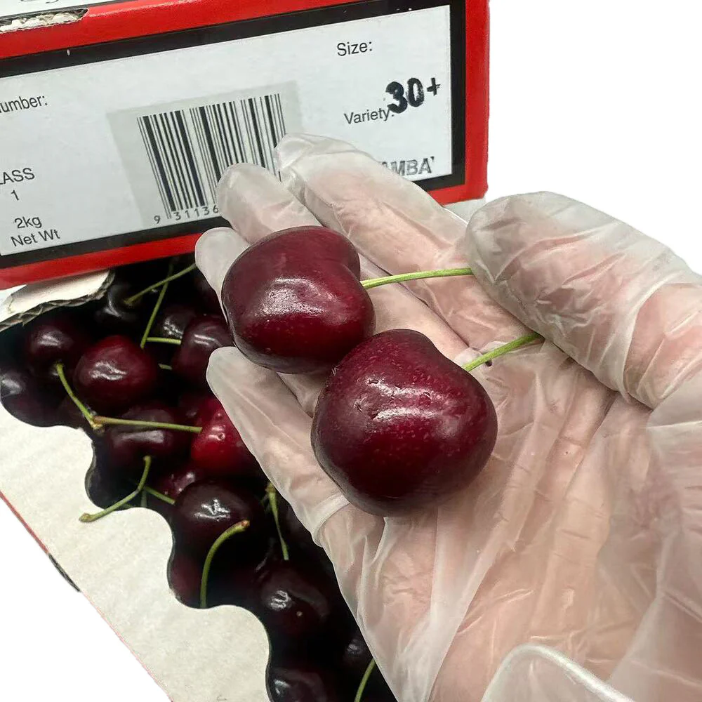 Samba Christmas Cherry Gift Box 30mm+ – 2kg - Image 3