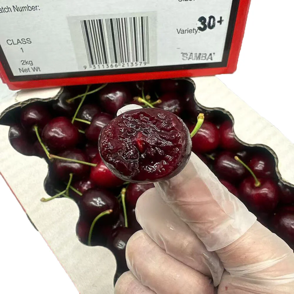 Samba Christmas Cherry Gift Box 30mm+ – 2kg - Image 4