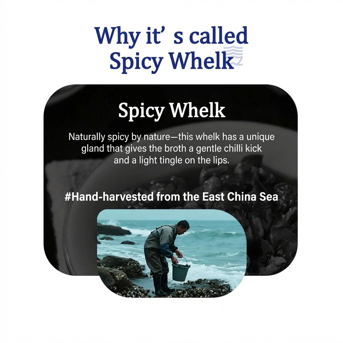 Sanguan Liukou Spicy Whelk 280g - Chinese Spicy Marinated Sea Snails - Image 2