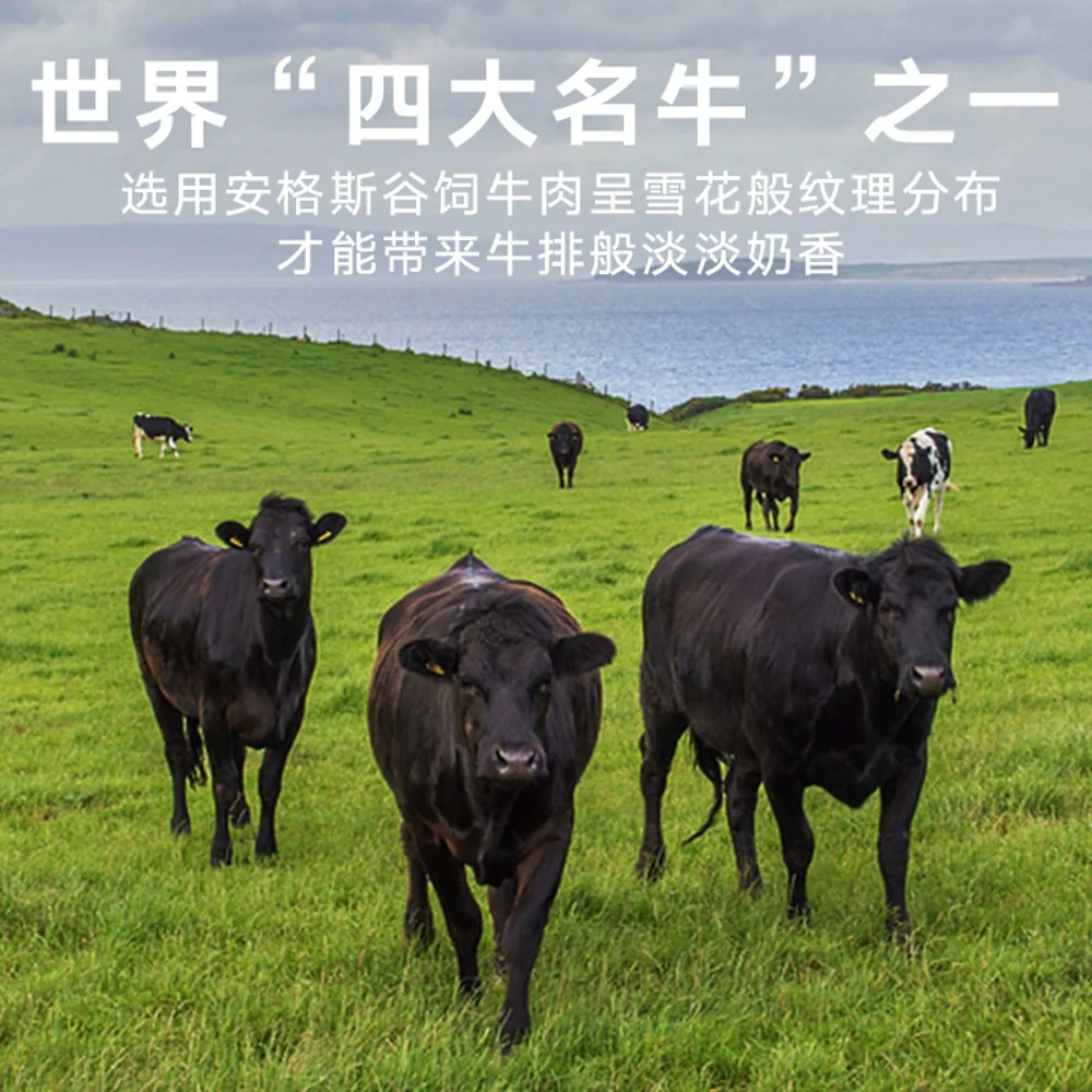 Sanguan Liumatou Angus Crispy Beef Snack – Original Flavour 100g - Image 2