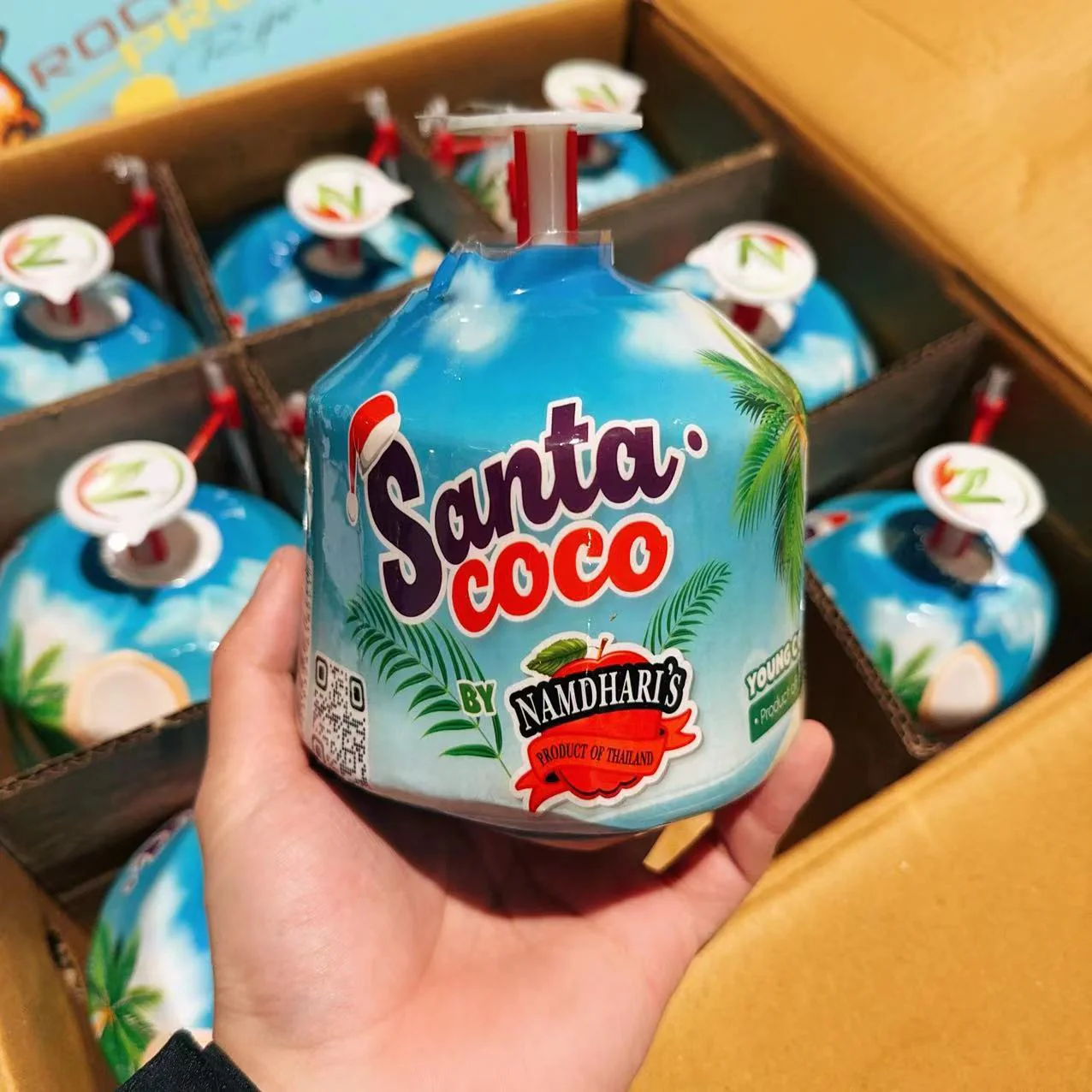 Santa Coco Easy Open Young Coconut - 1 Piece
