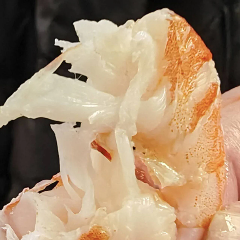 NAQUA Red Sea Premium Frozen Whole Cooked Vannamei Shrimp (Size 30/40) – 2kg Box - Whole Cooked Prawns - Image 4